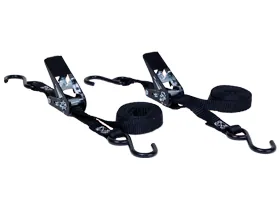 Lashing RTSS-2000-100 2 pcs