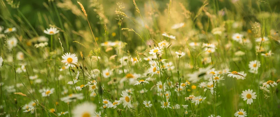 Smart solutions that help to reduce emissions, providing increased economic sustainability